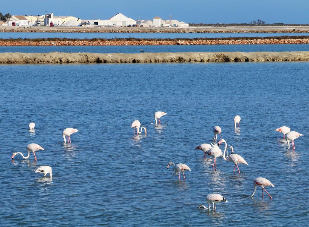 Ferienwohnung Masquestar Mar Menor Torre-Pacheco Exterior foto
